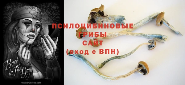 трава Балахна