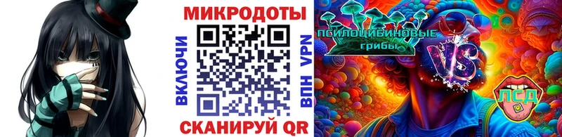 Галлюциногенные грибы MAGIC MUSHROOMS  даркнет сайт  Котельниково 